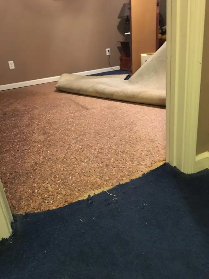 Carpet pad removal revealing water damage during Water Mitigation Services in St. Louis