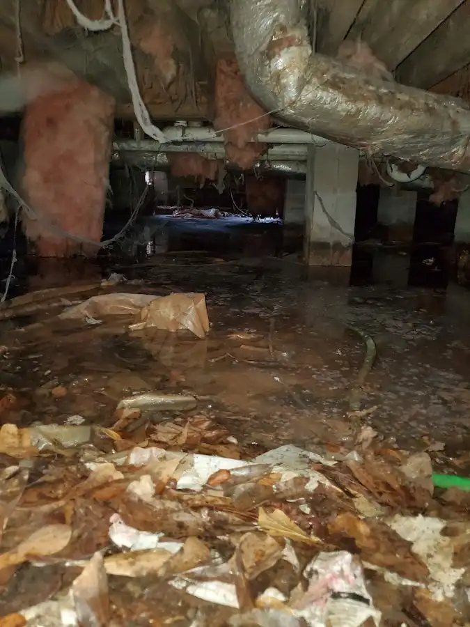 Crawl space flood assessment for Commercial Water Damage Restoration in St. Louis