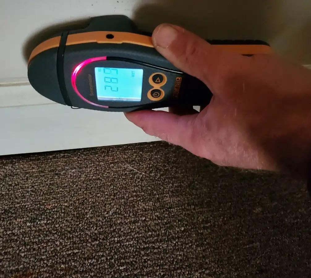Moisture detection at baseboard during Sewage Cleanup & Sanitation in St. Louis